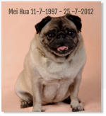 Mei Hua 11-7-1997 - 25 -7-2012
